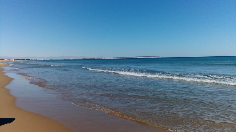 Vagues plages
