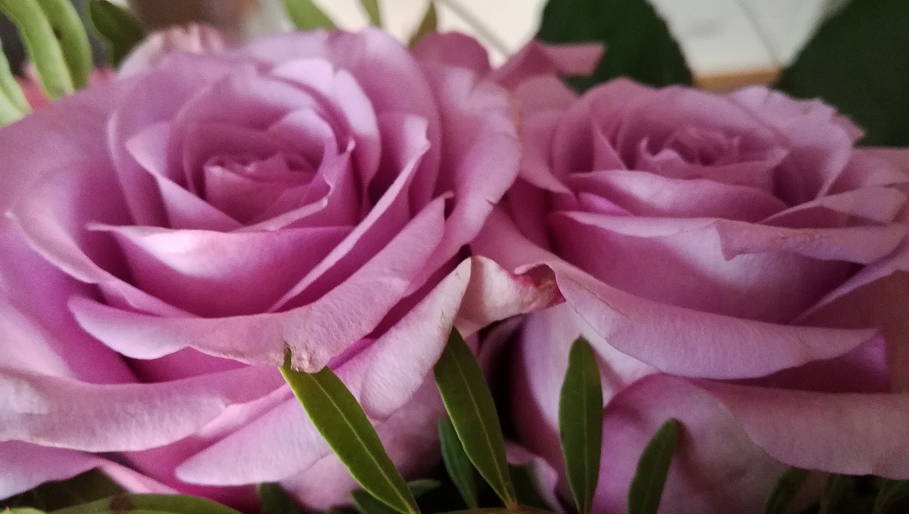 Roses deuil