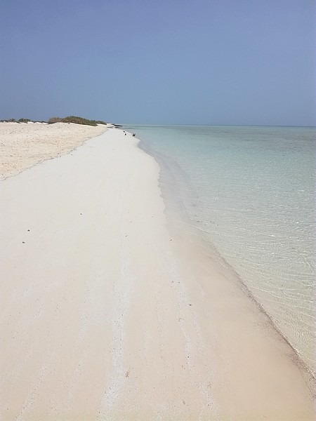 Sable blanc