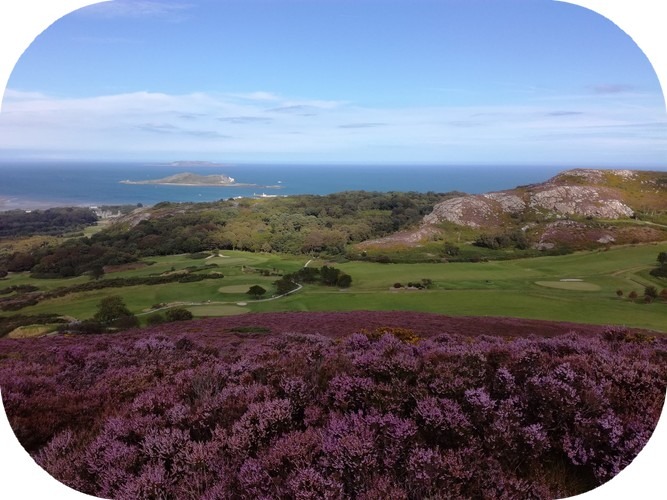 Paysage d'Irlande
