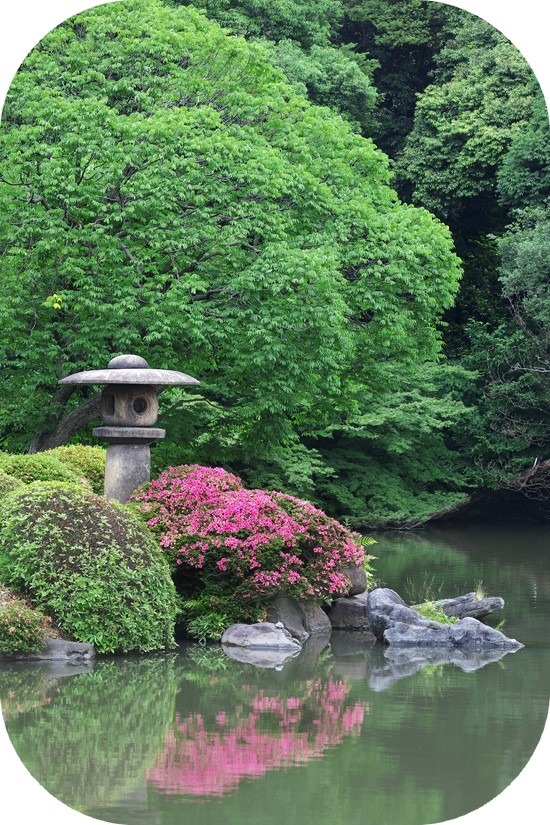 Jardin à Tokyo