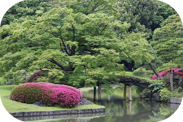 Parc japonais