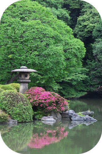 Jardin à Tokyo